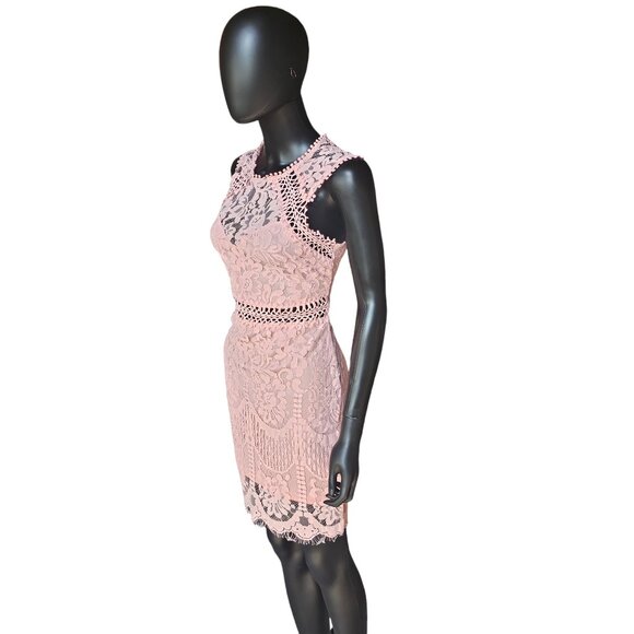Pink Lace Illusion Sheath Dress - Picture 3 of 8